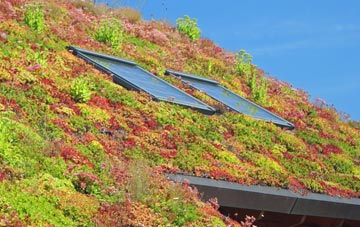 Chilton Trinity living roof systems