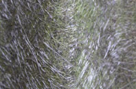 Chilton Trinity fibreglass roof work